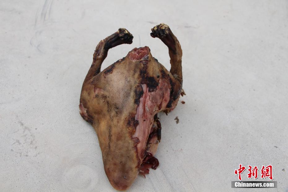 男子保護區(qū)內(nèi)持槍狩獵 竟把民警當(dāng)獵物射擊