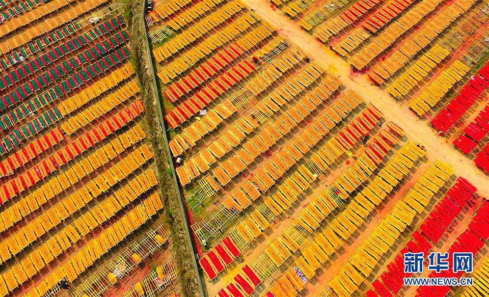 堅守300多年的阿拉伯后裔制香人