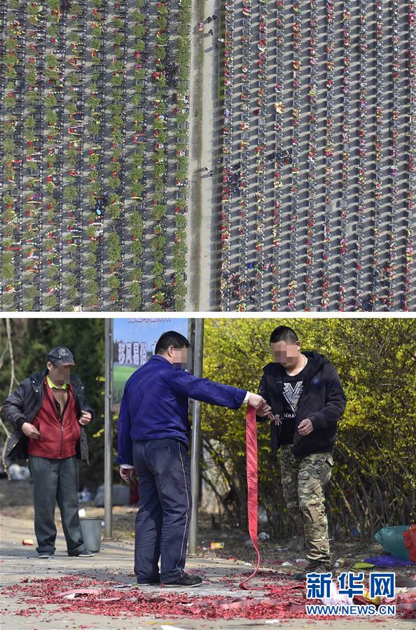 摒棄陳規陋習 倡導綠色祭掃