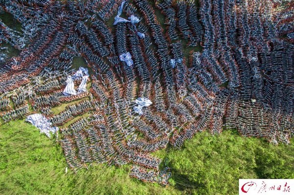 航拍廣州共享單車(chē)中轉(zhuǎn)站　密密麻麻如彈簧