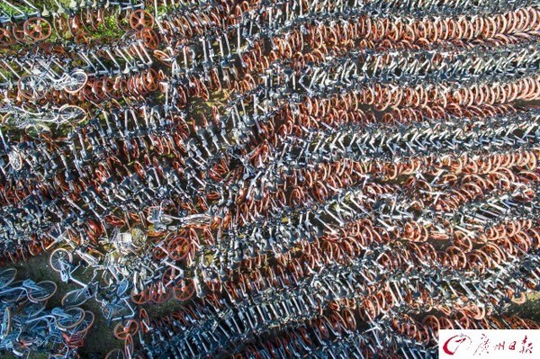 航拍廣州共享單車中轉站　密密麻麻如彈簧