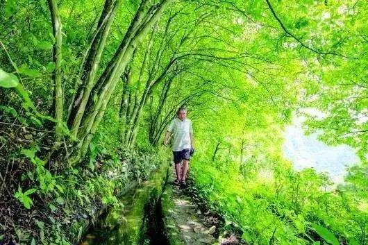 解碼中國丨這位當代“愚公”在懸崖峭壁上鑿出7千米水渠，現實比神話傳說更震撼！