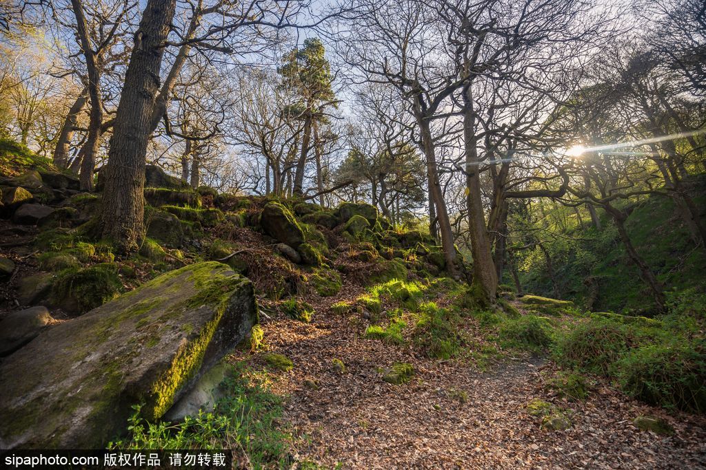 英國：德比郡天空現絕美日出 夢幻天空如臨仙境
