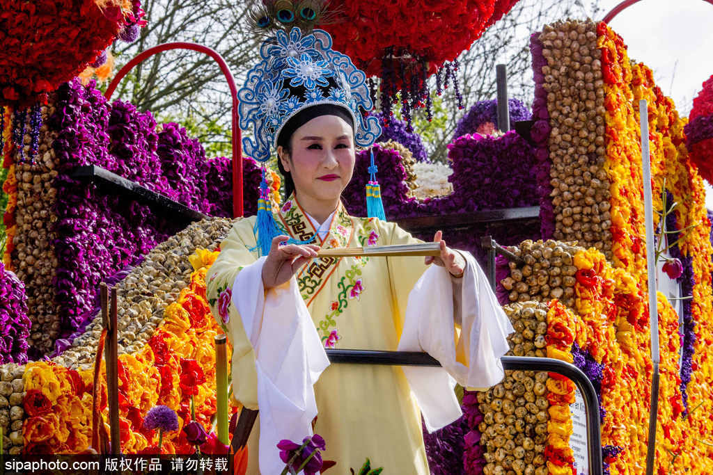 荷蘭小鎮(zhèn)利瑟迎來(lái)花車游行活動(dòng) 鮮艷亮麗十分奪目