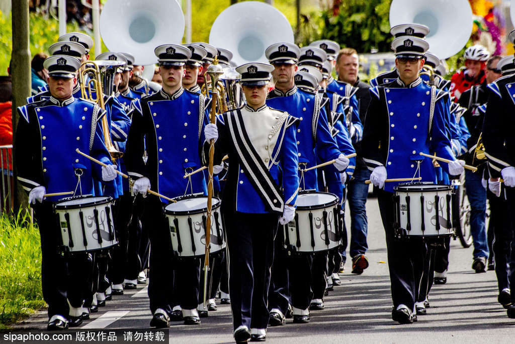 荷蘭小鎮利瑟迎來花車游行活動 鮮艷亮麗十分奪目