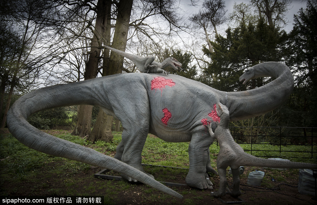 再現(xiàn)侏羅紀王國 倫敦奧斯特利公園舉辦互動恐龍模型展