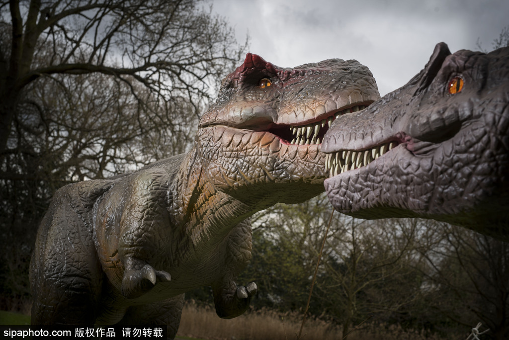 再現(xiàn)侏羅紀王國 倫敦奧斯特利公園舉辦互動恐龍模型展