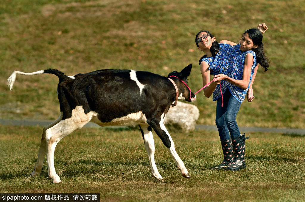 美國16歲連體姐妹拒做分離手術(shù) 她們的決定讓人無法理解