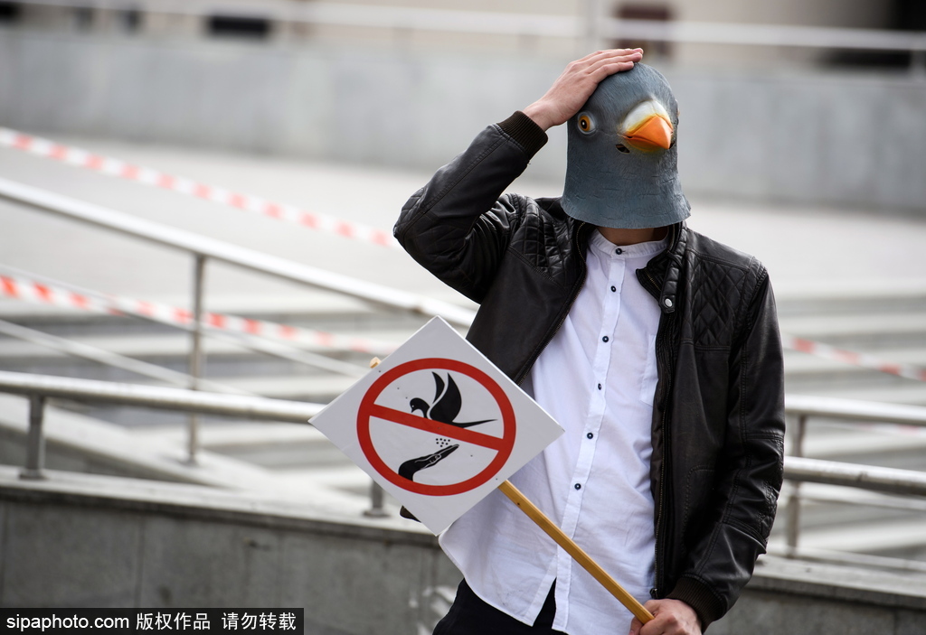 世界這么大！不一定要去迪拜撿垃圾 盤點世界奇葩工種