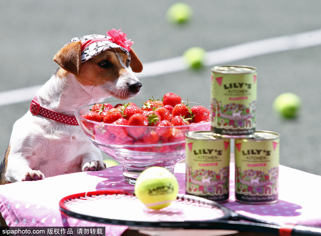 世界這么大！不一定要去迪拜撿垃圾 盤點(diǎn)世界奇葩工種