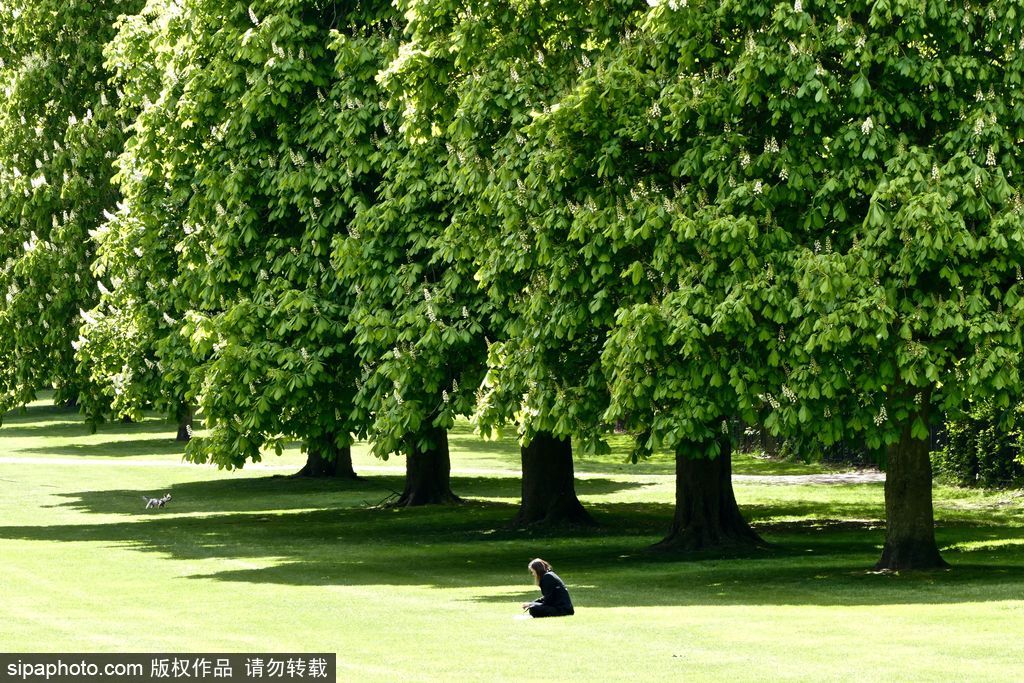 走進(jìn)如畫(huà)英倫莊園 感受午后明媚春光