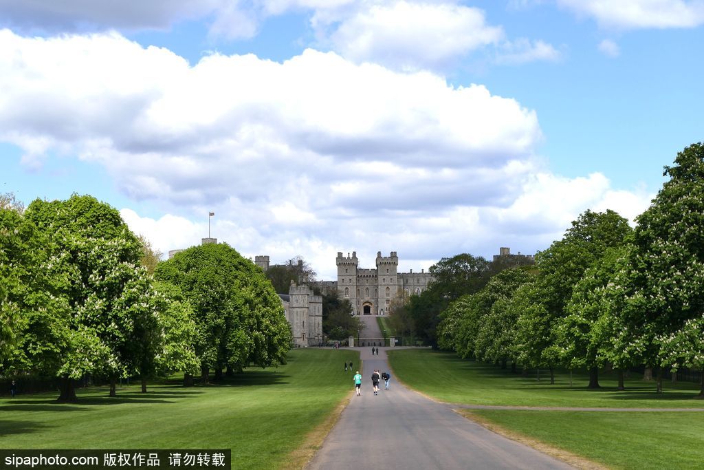 走進(jìn)如畫(huà)英倫莊園 感受午后明媚春光