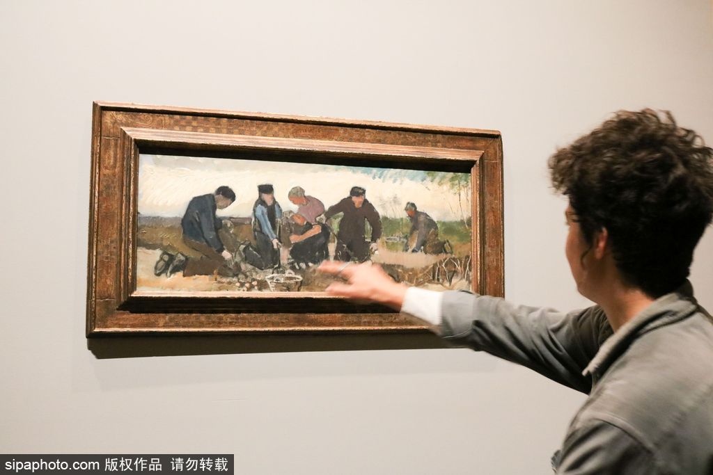 全球獨家！世界上首個梵高個人作品展在墨爾本舉辦