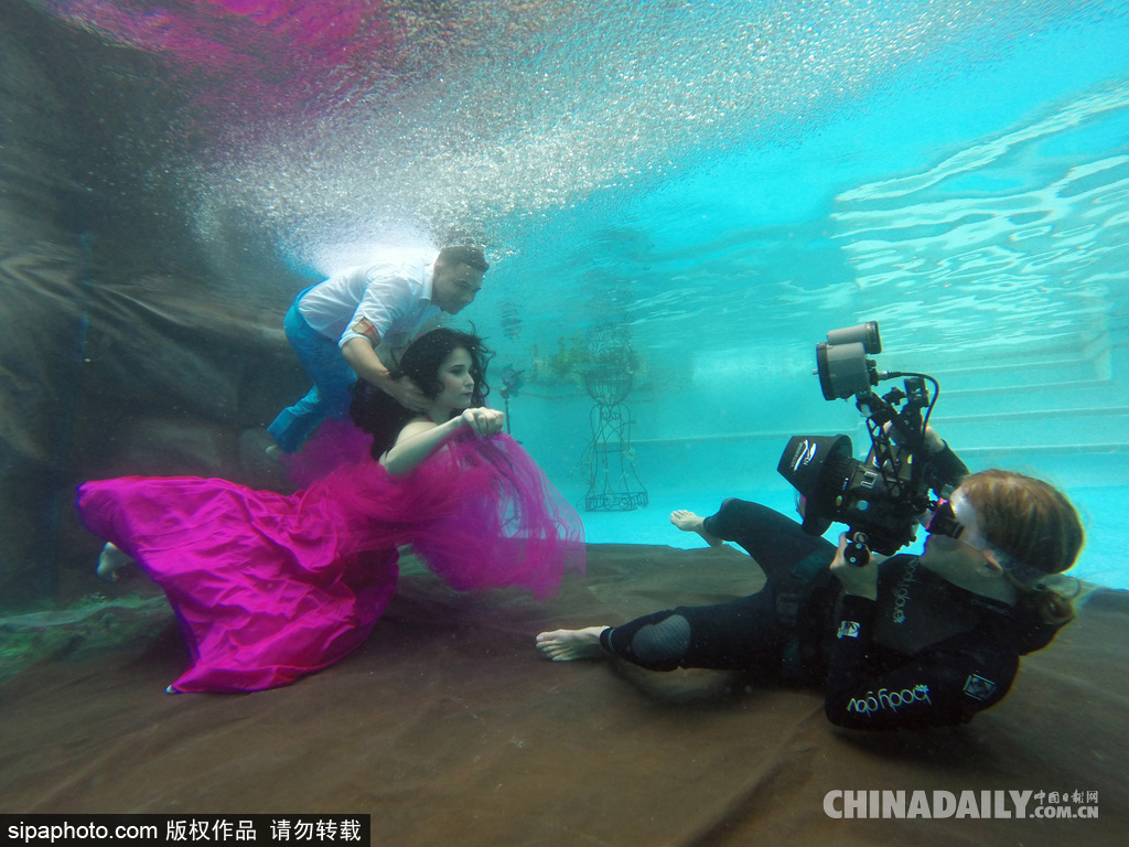 拼的就是創意 盤點水下世界趣聞不斷