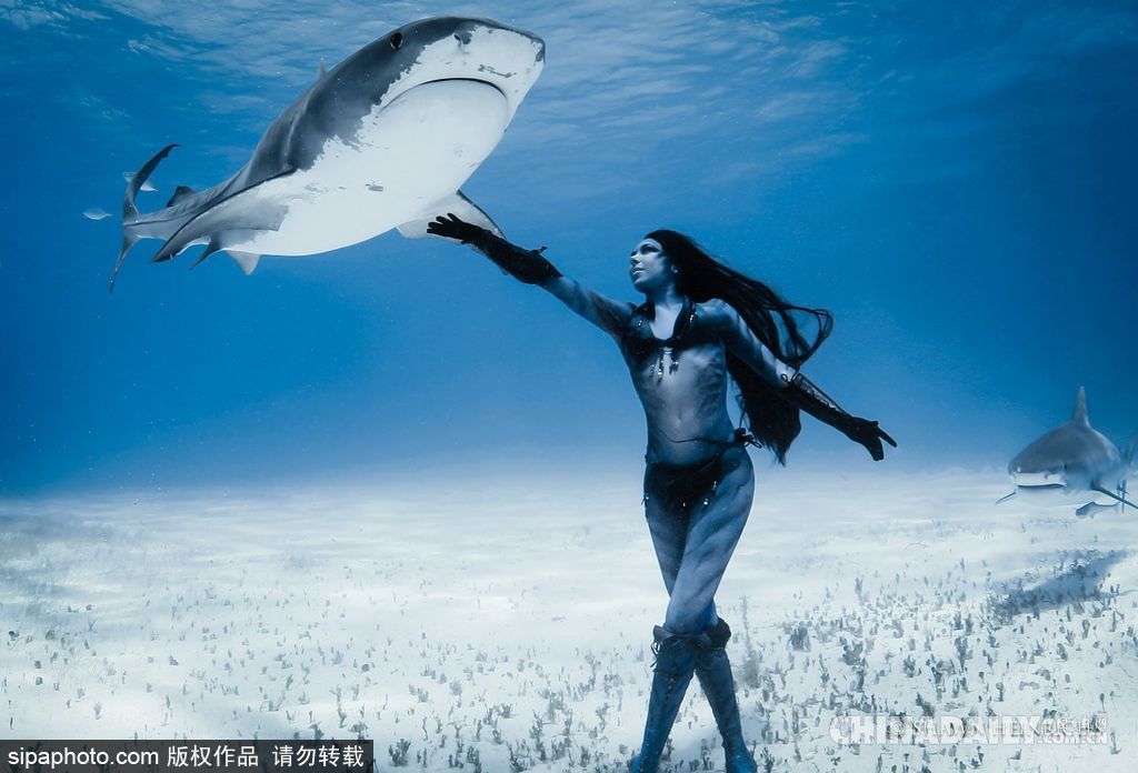 拼的就是創意 盤點水下世界趣聞不斷