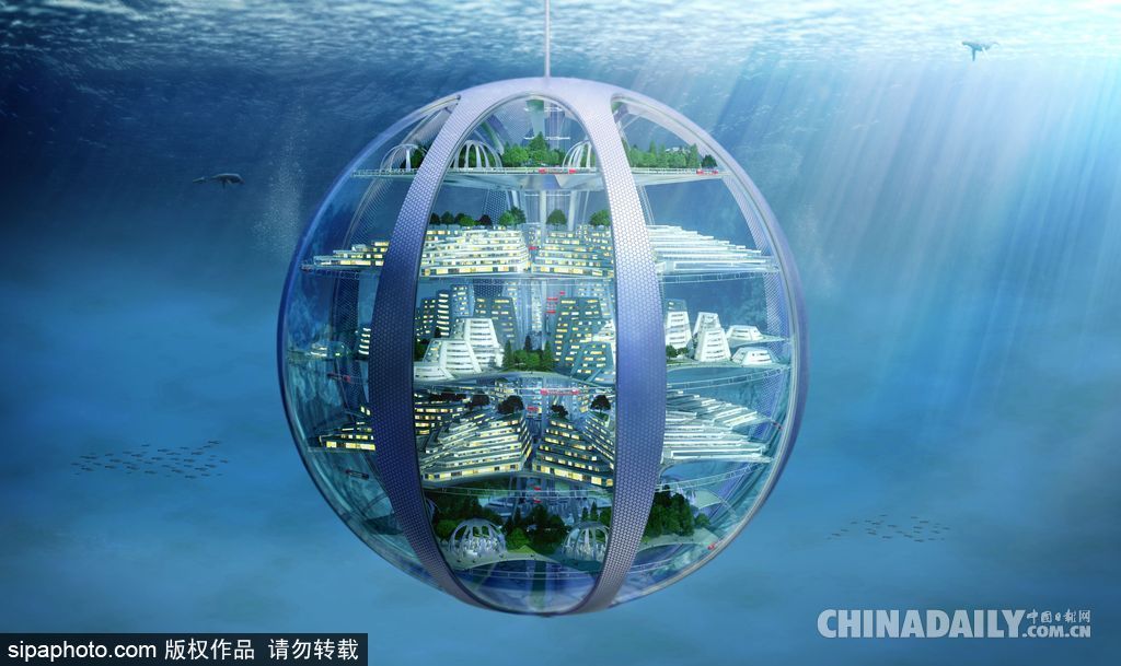 拼的就是創意 盤點水下世界趣聞不斷