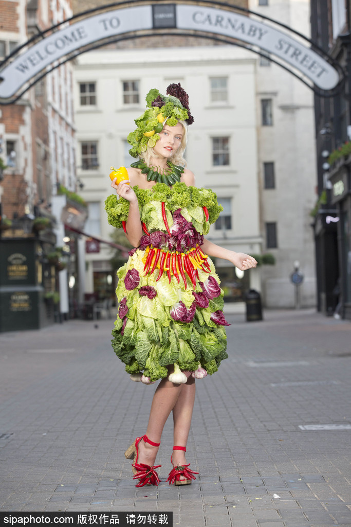 時尚bug沖擊！ 英國模特展示沙拉材料制成服裝