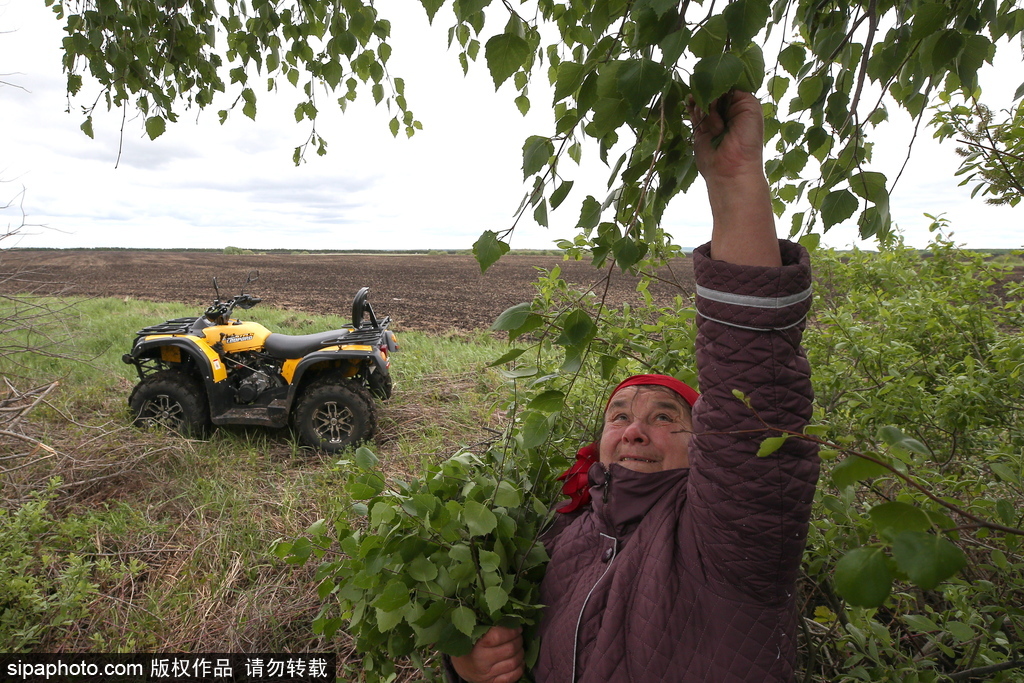 厲害了！俄羅斯老人開全地形車犁地超拉風
