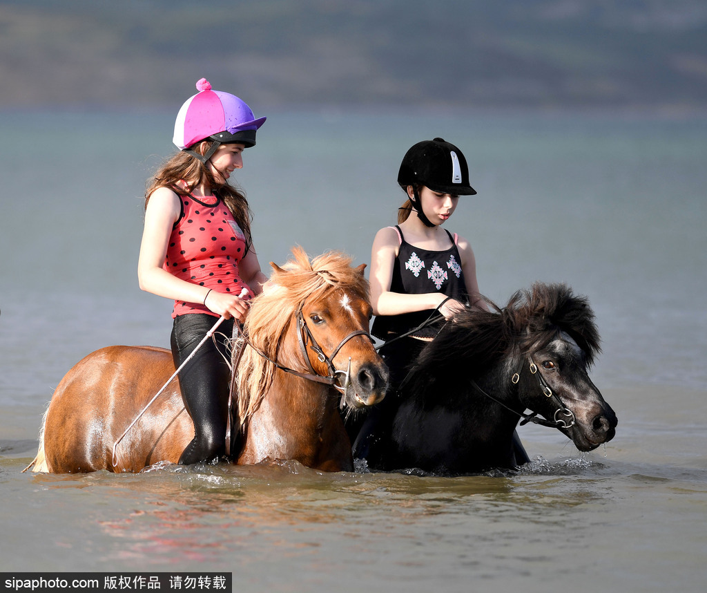 英國多塞特高溫來襲 女孩騎馬下河降溫