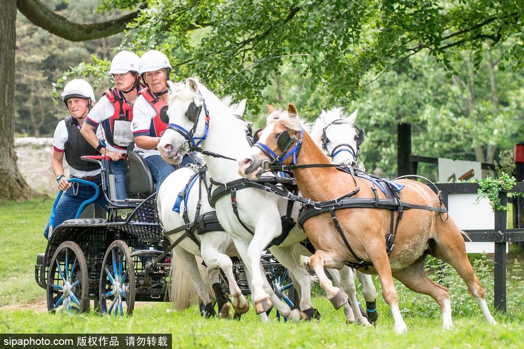 英國(guó)霍普頓四輪馬車(chē)賽激烈上演 菲利普親王坐車(chē)中悠閑觀賽