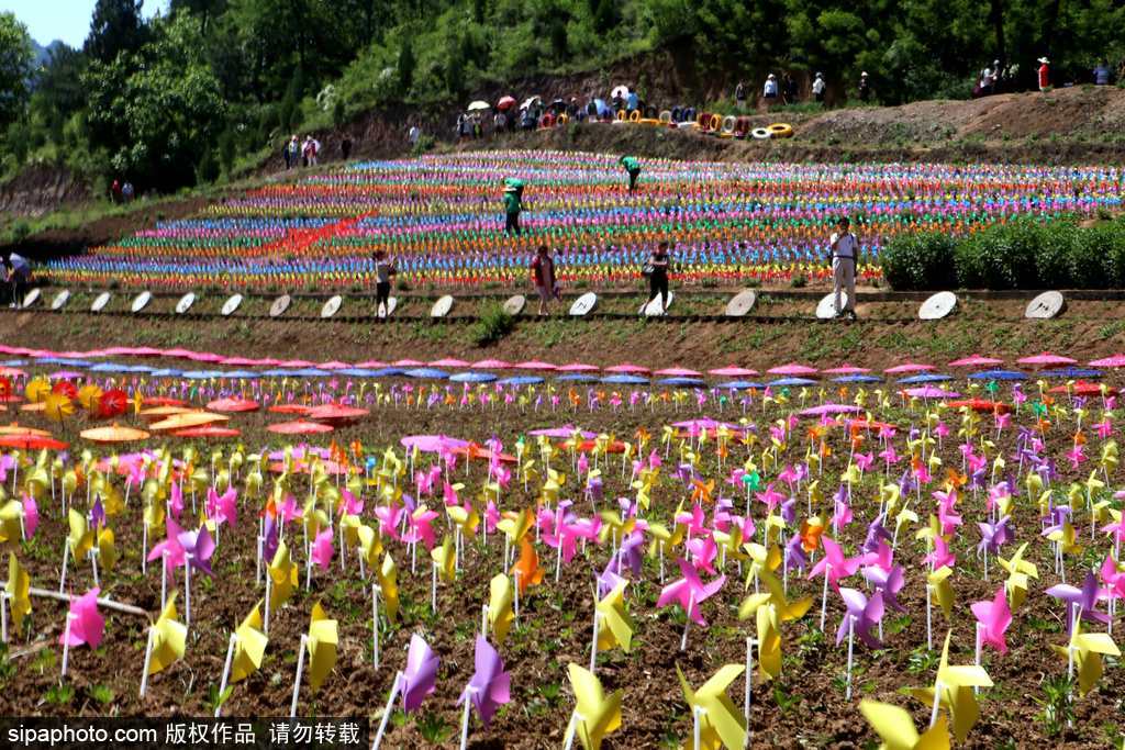 河南：數(shù)萬(wàn)風(fēng)車裝扮七彩大地場(chǎng)面壯觀震撼