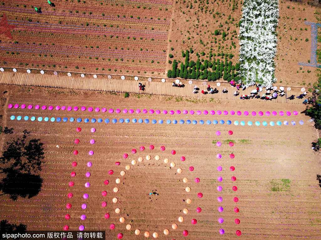 河南：數(shù)萬(wàn)風(fēng)車(chē)裝扮七彩大地場(chǎng)面壯觀震撼