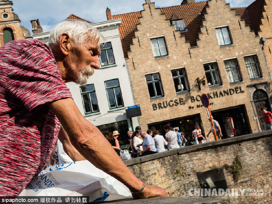 比利時布魯日迎來旅游旺季 夏日風(fēng)光清新亮麗