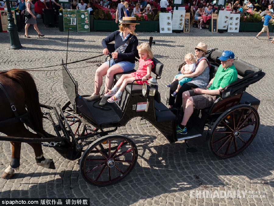 比利時布魯日迎來旅游旺季 夏日風(fēng)光清新亮麗