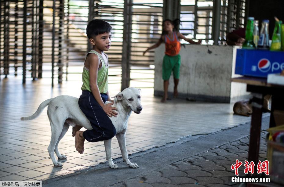 【兒童節(jié)特刊】童真的模樣