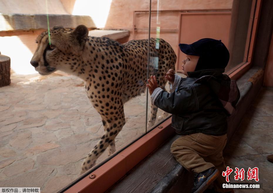 【兒童節(jié)特刊】童真的模樣