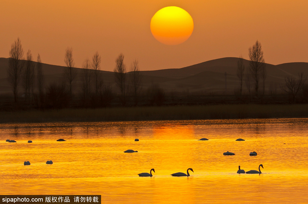 世界環(huán)境日 盤點國內絕美濕地風光