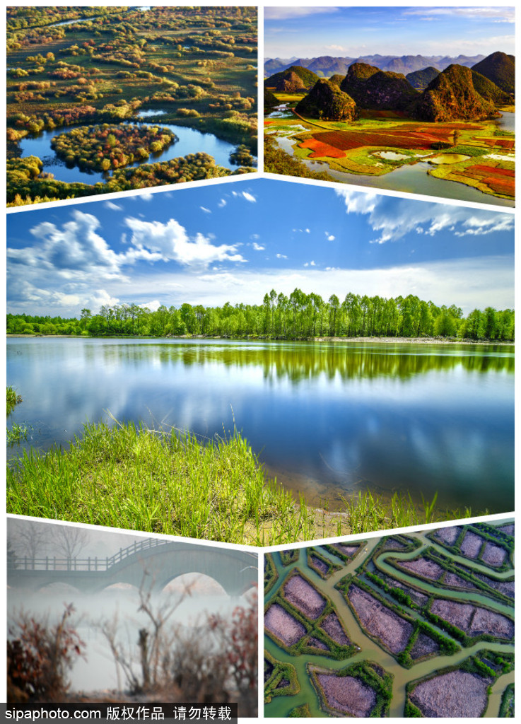 世界環境日 盤點國內絕美濕地風光