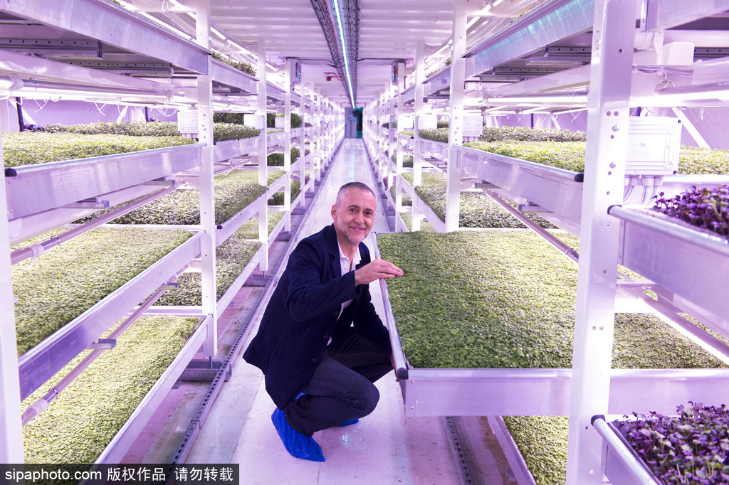 完美變身 盤點新奇十足的廢棄物大改造