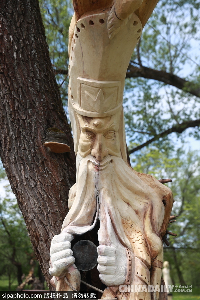 俄羅斯莫斯科舉行首屆根雕藝術節 形態各異