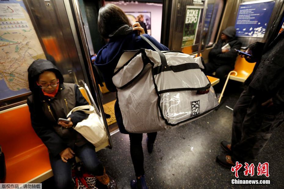 紐約科技范集裝箱農場 通過光控種植蔬菜