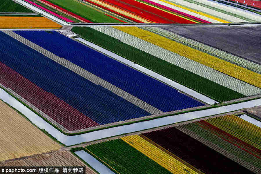 色彩大爆炸 沖擊視覺神經的彩色世界