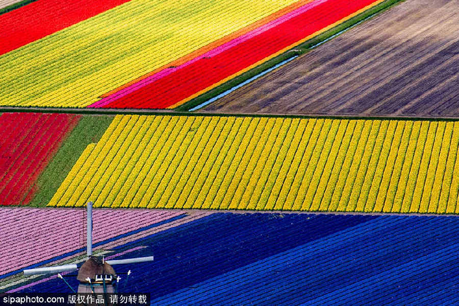 色彩大爆炸 沖擊視覺(jué)神經(jīng)的彩色世界