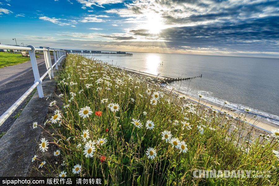 美到心坎里 英國(guó)索思沃爾德海邊風(fēng)光