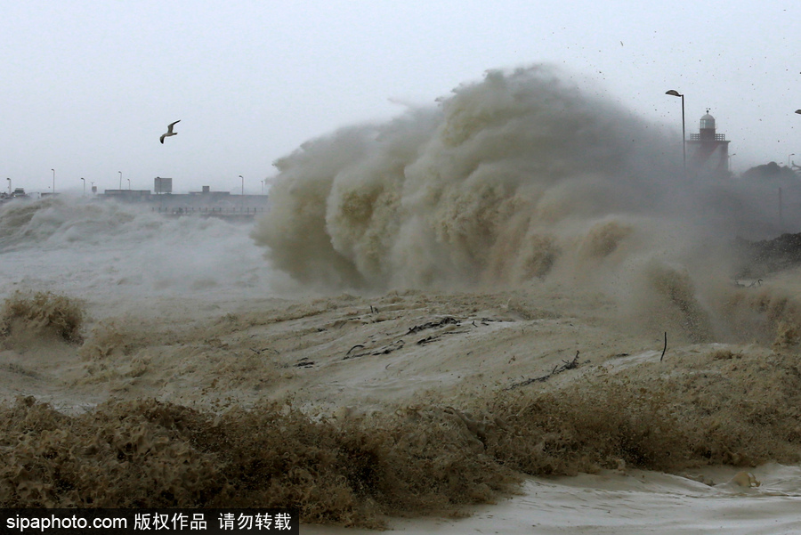 南非遭風(fēng)暴襲擊 大風(fēng)掀巨浪席卷街道