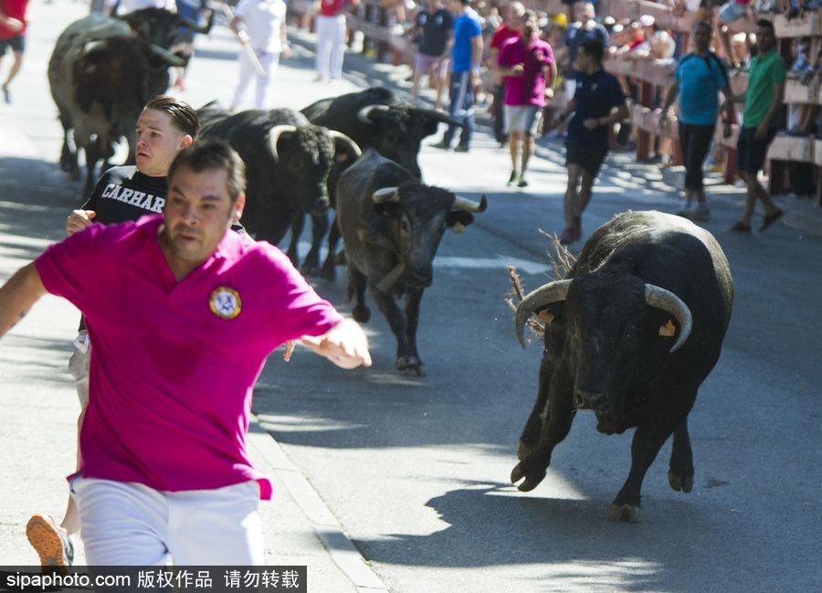 西班牙托雷洪市舉行奔牛節(jié)活動(dòng) 眾壯漢遭公牛追逐落荒而逃
