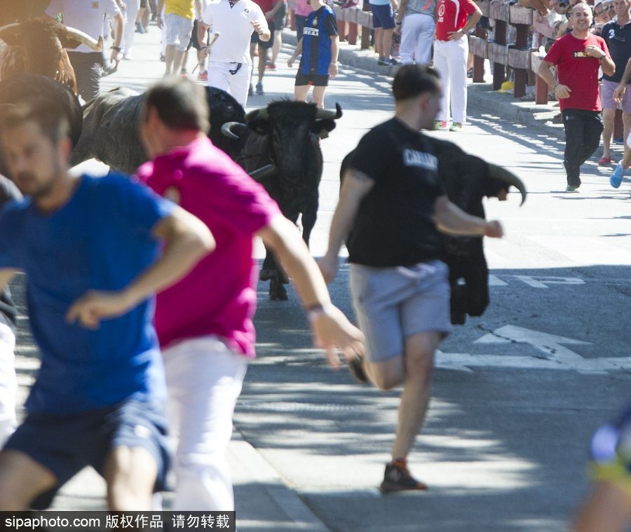 西班牙托雷洪市舉行奔牛節活動 眾壯漢遭公牛追逐落荒而逃