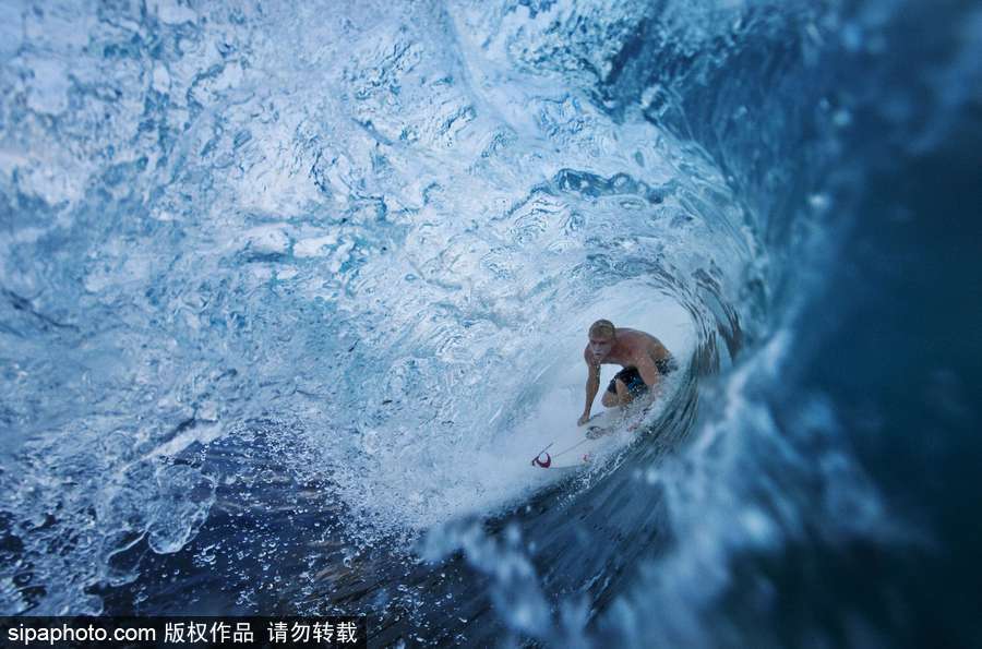 蔚藍國度 帶你領略神秘未知的海洋魅麗