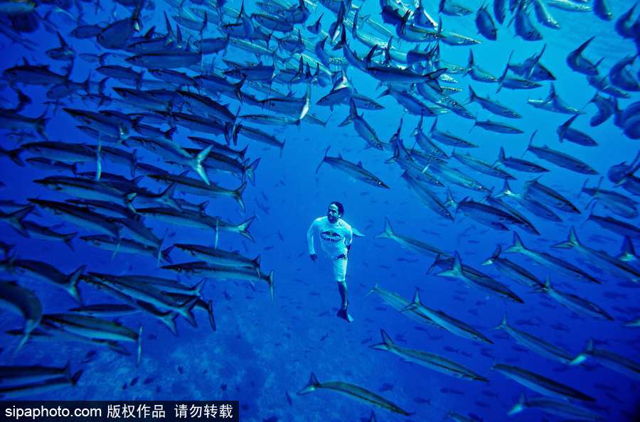 蔚藍(lán)國度 帶你領(lǐng)略神秘未知的海洋魅麗