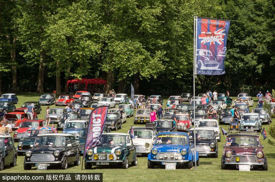 不老的經(jīng)典 法國舉行迷你車集會充滿懷舊復(fù)古氣息
