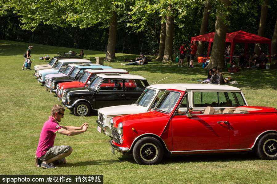 不老的經(jīng)典 法國舉行迷你車集會充滿懷舊復(fù)古氣息