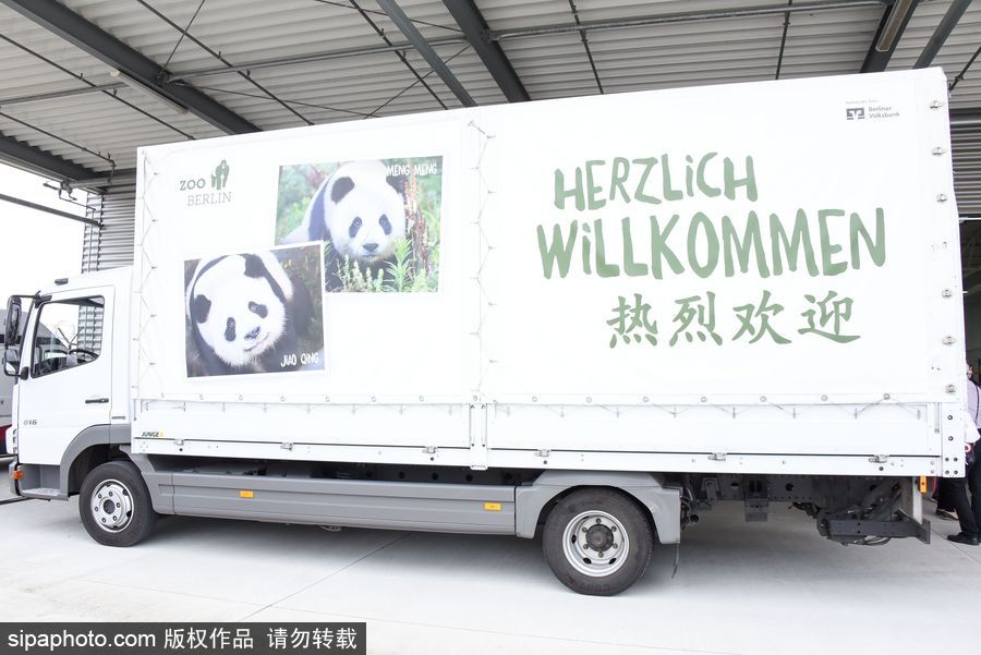 中國大熊貓“夢夢”“嬌慶”抵達德國柏林 時隔五年德民眾再迎大熊貓