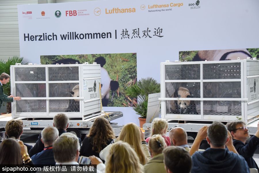 中國大熊貓“夢夢”“嬌慶”抵達(dá)德國柏林 時(shí)隔五年德民眾再迎大熊貓