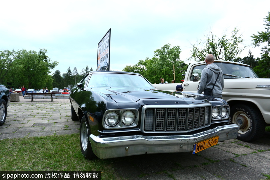 波蘭舉行復(fù)古車(chē)展 細(xì)數(shù)經(jīng)典老爺車(chē)停留的歲月