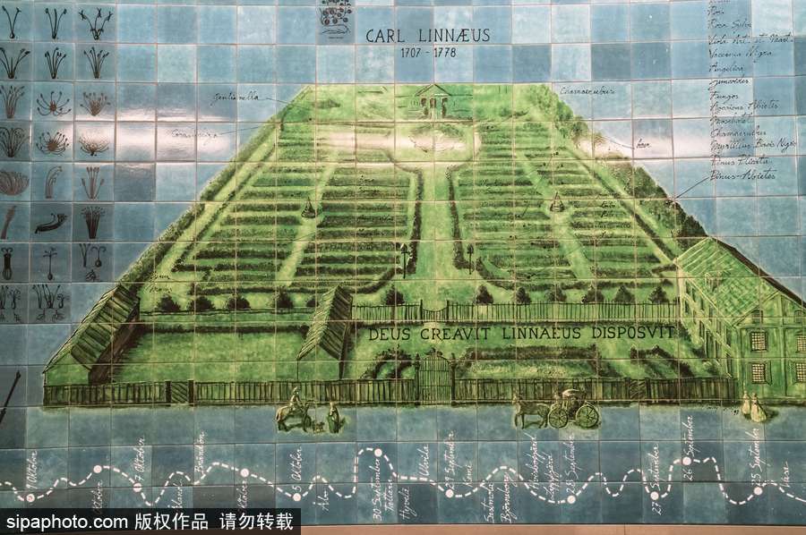 去瑞士看世界上最奇特的地鐵站 斯德哥爾摩從來不讓人失望