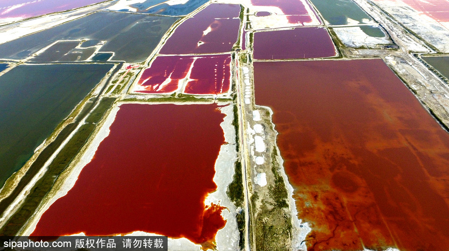 山西運城：持續高溫來襲 千年鹽池變身美麗七彩湖